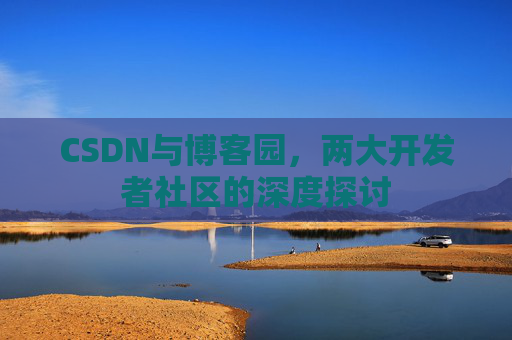 CSDN与博客园，两大开发者社区的深度探讨